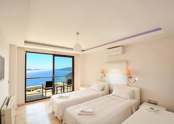 Villa Villla Liver *