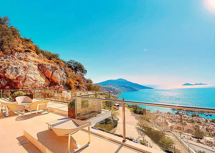 Villa Villla Liver *