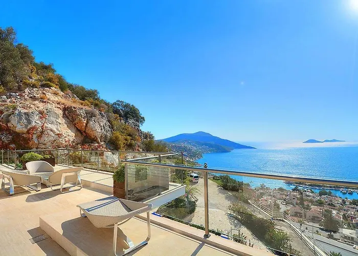 Villa Villla Liver *