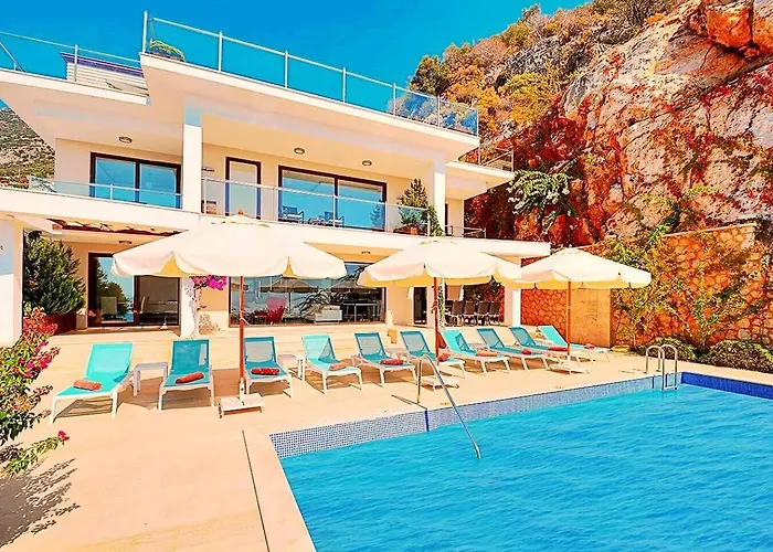 Villla Liver Villa *