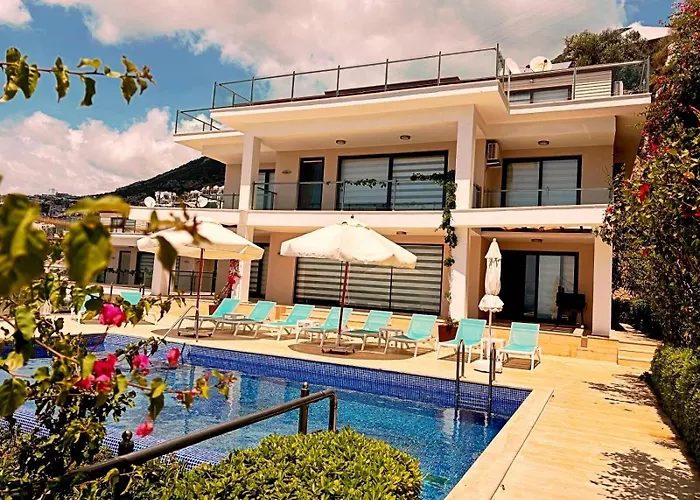 Villa Villla Liver *