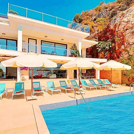 Villla Liver Villa *