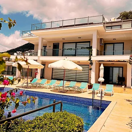 Villa Villla Liver *