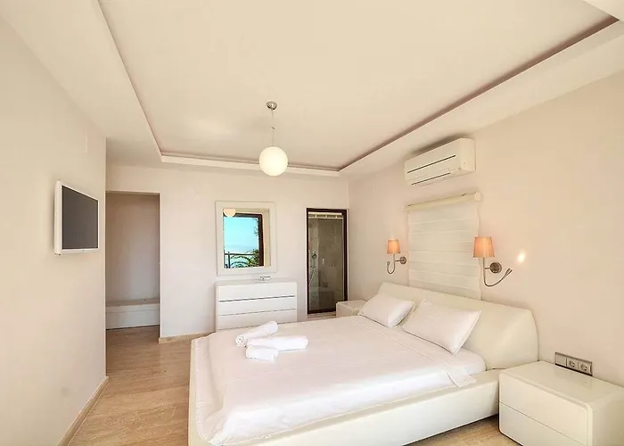 Villa Villla Liver *